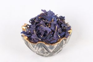 خرید گل گاوزبان
