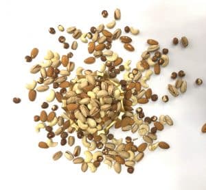 آجیل چهار مغز خام درجه یک (100 گرم)