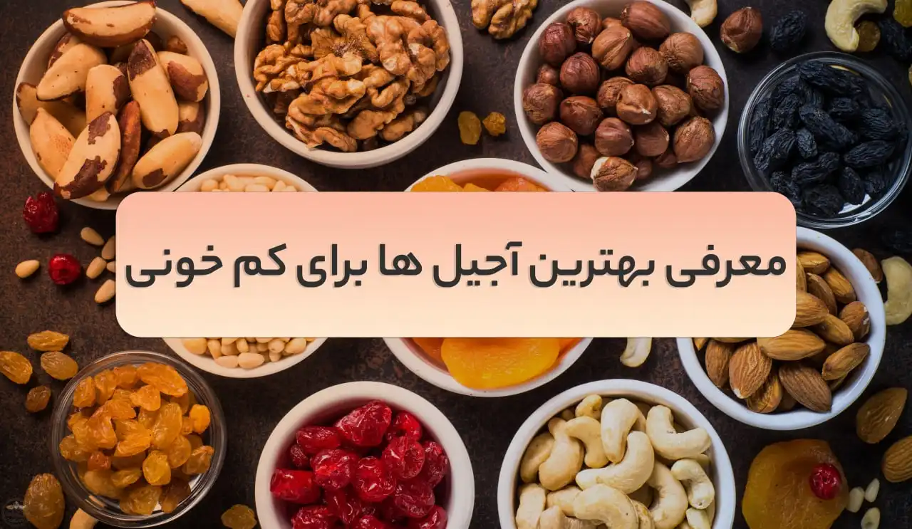 بهترین آجیل برای کم خونی