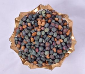 پسته کوهی (بنه)