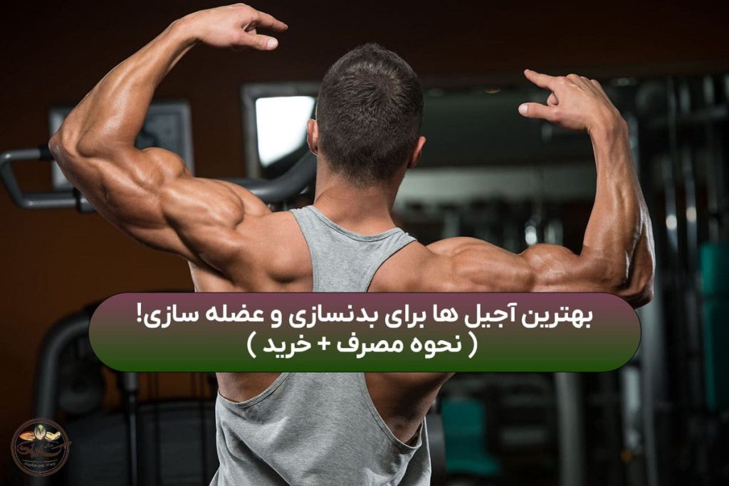 بهترین آجیل ها برای بدنسازی