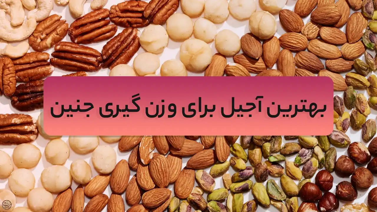 بهترین آجیل برای وزن گیری جنین