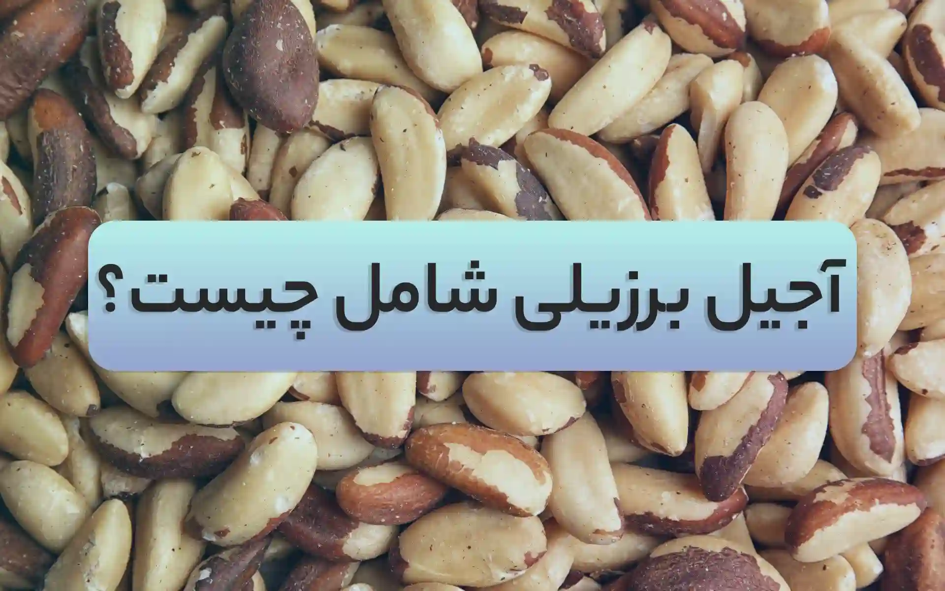 خواص بادام برزیلی چیست؟ (اطلاعات غذایی+فواید)| کشاورزنات