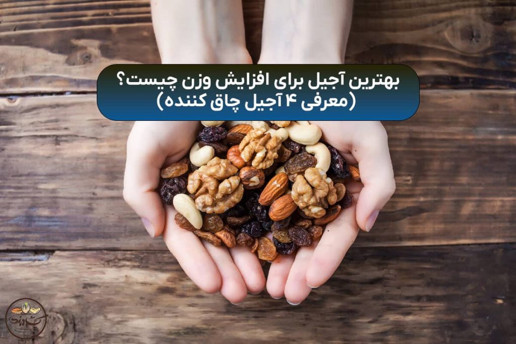 بهترین آجیل برای افزایش وزن