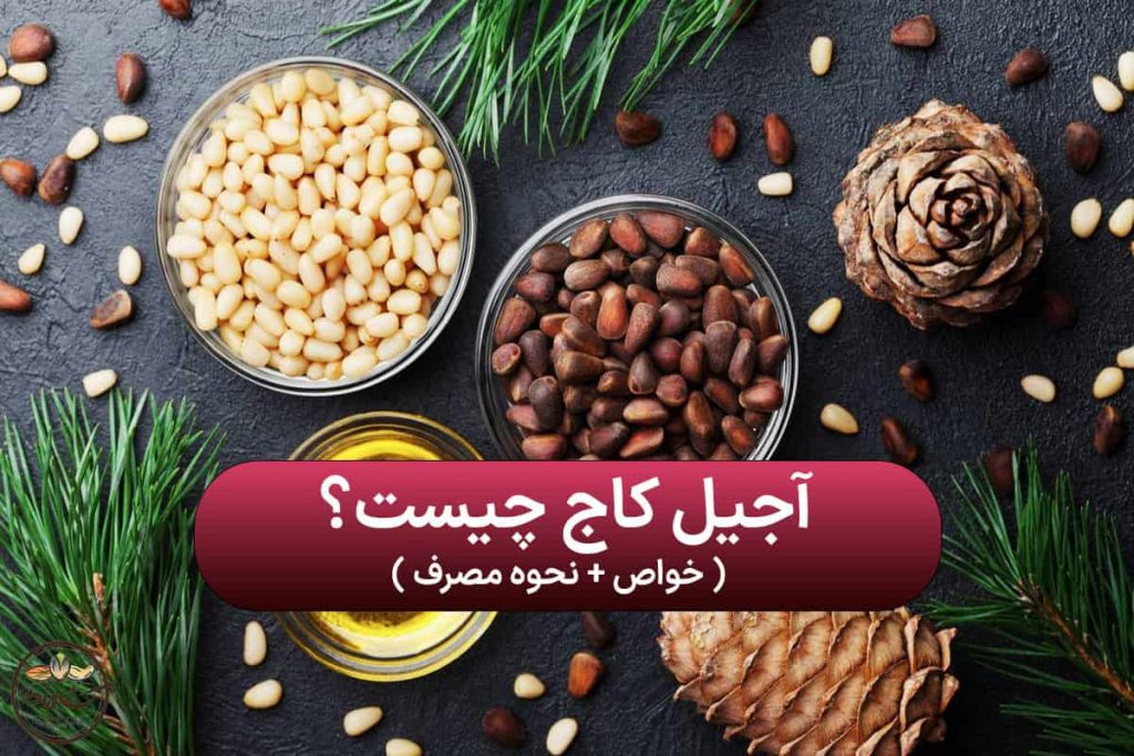 آجیل کاج چیست