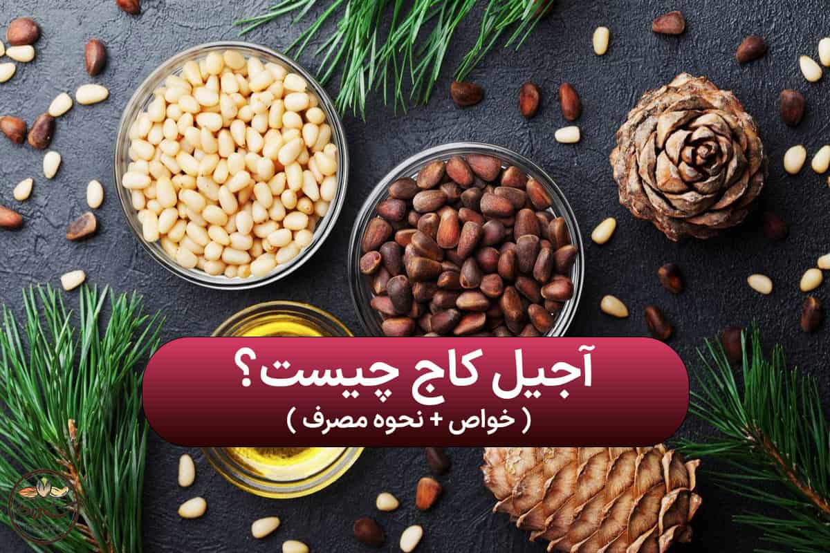 آجیل کاج چیست
