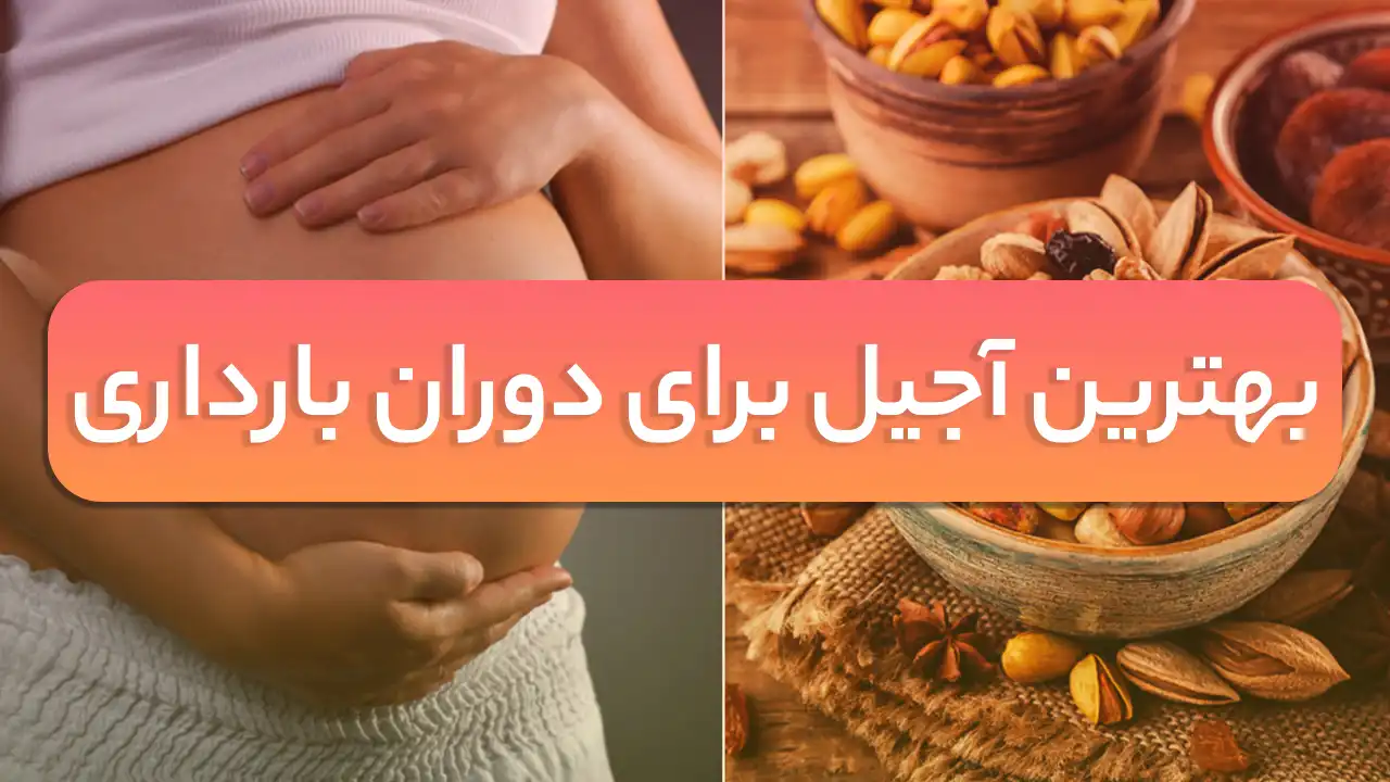 بهترین آجیل برای دوران بارداری