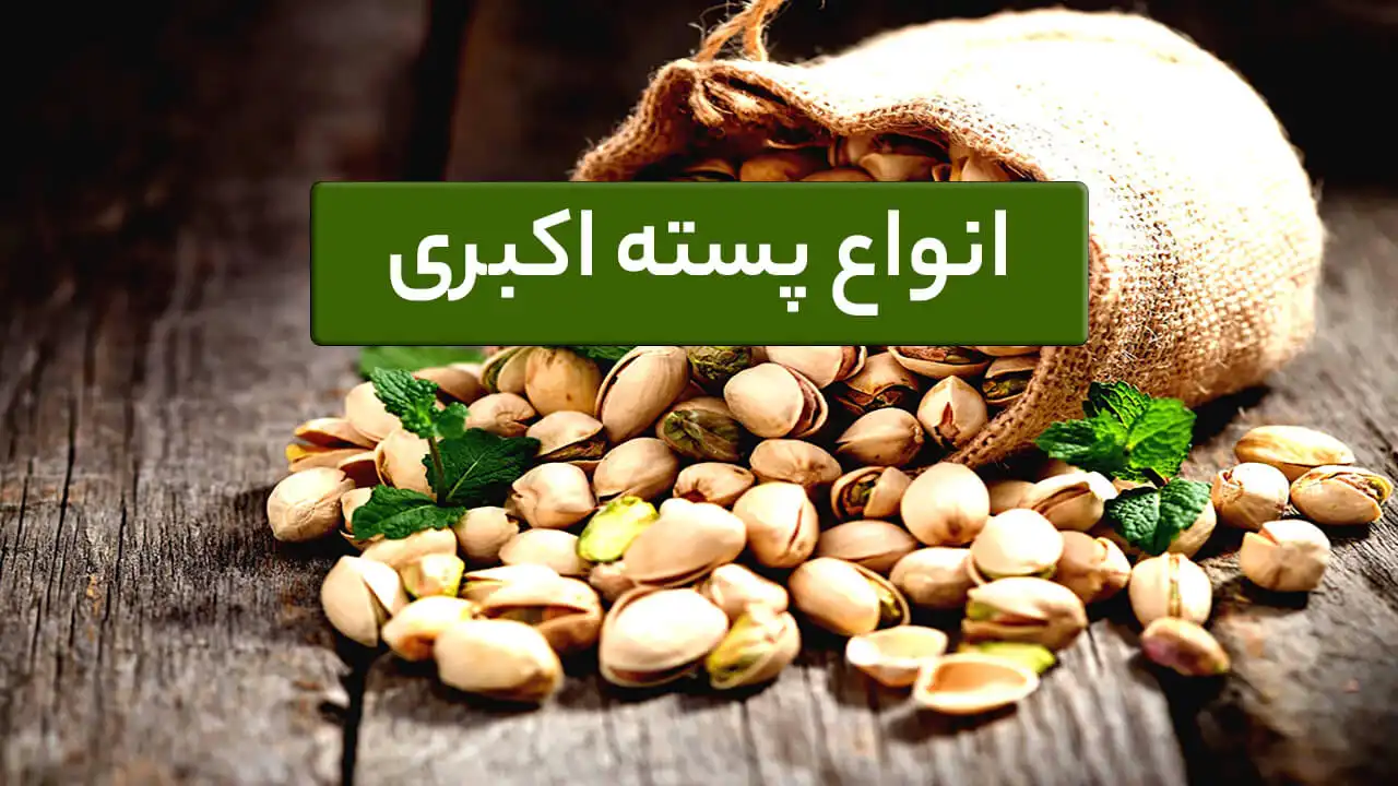 انواع پسته اکبری