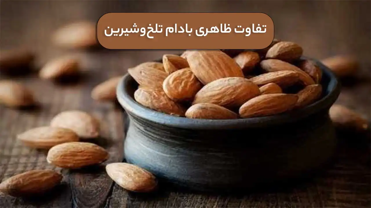 تفاوت ظاهری بادام تلخ و شیرین