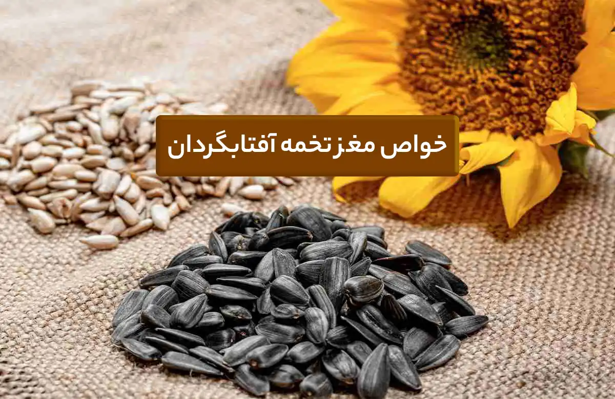 خواص مغز تخمه آفتابگردان
