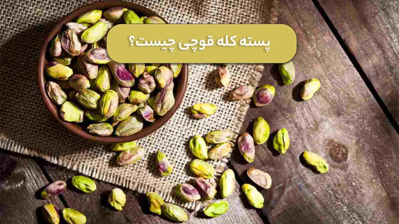 پسته کله قوچی چیست؟