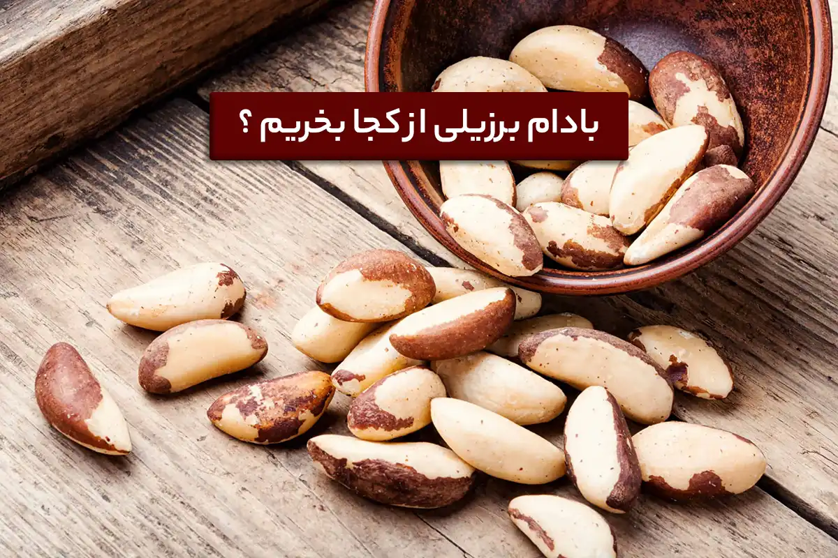 بادام برزیلی از کجا بخریم؟ + قیمت، خواص و فواید | کشاورزنات