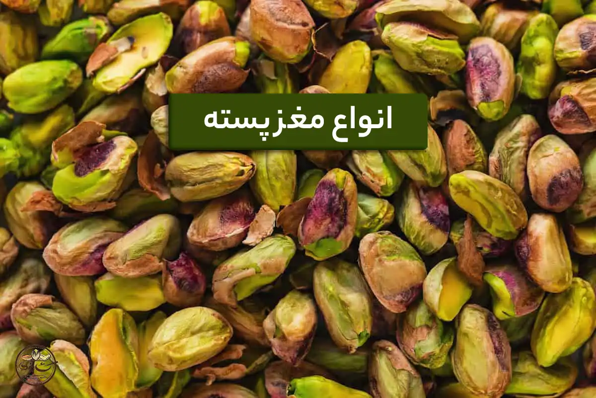 انواع مغز پسته