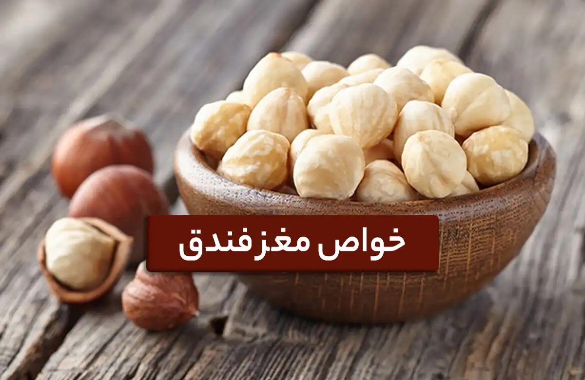 خواص مغز فندق
