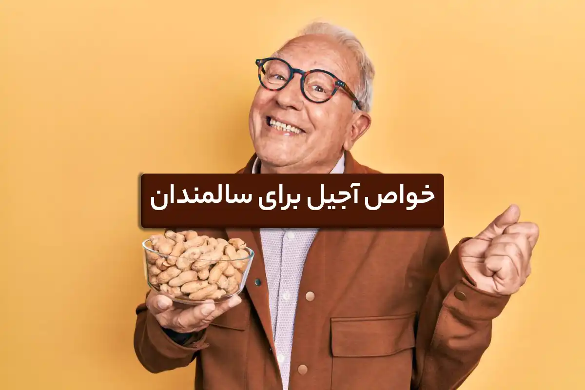 خواص آجیل برای سالمندان