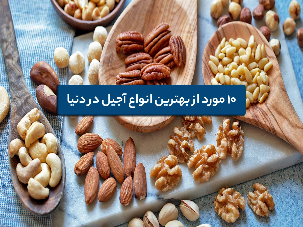 بهترین انواع آجیل در دنیا