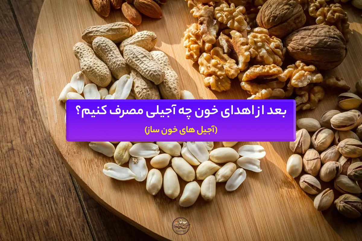 بعد از اهدای خون چه آجیلی مصرف کنیم؟ (آجیل های خون ساز)