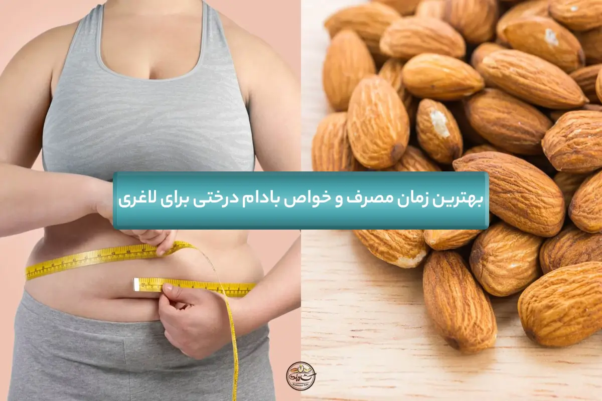 بهترین زمان مصرف و خواص بادام درختی برای لاغری