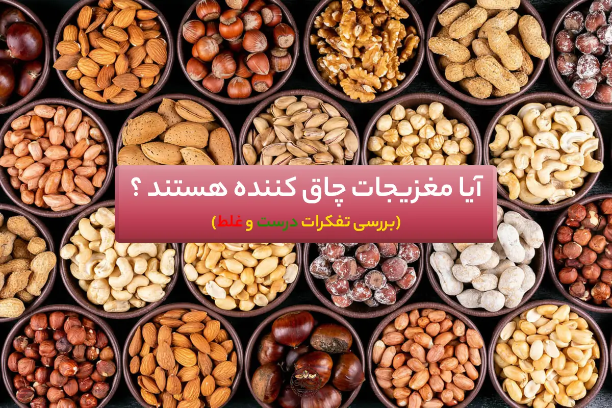 آیا مغزیجات چاق کننده هستند ؟ (بررسی تفکرات درست و غلط)