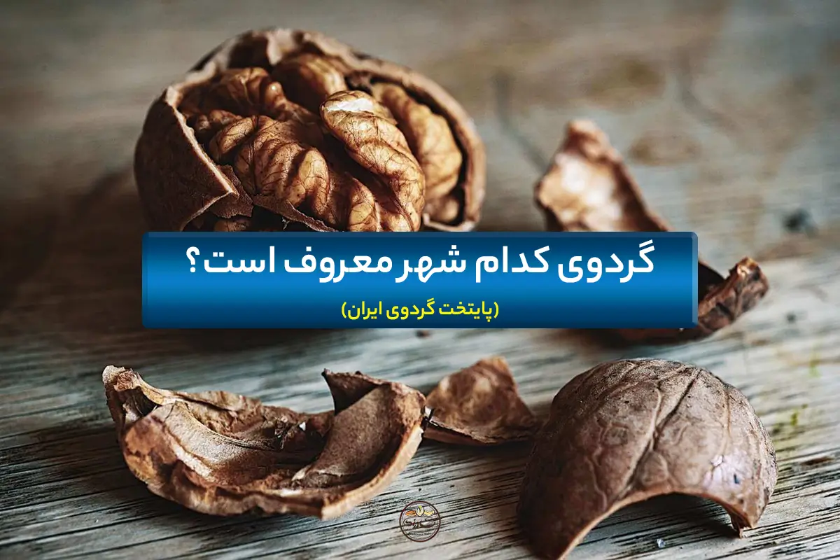 گردوی کدام شهر معروف است؟ (پایتخت گردوی ایران)