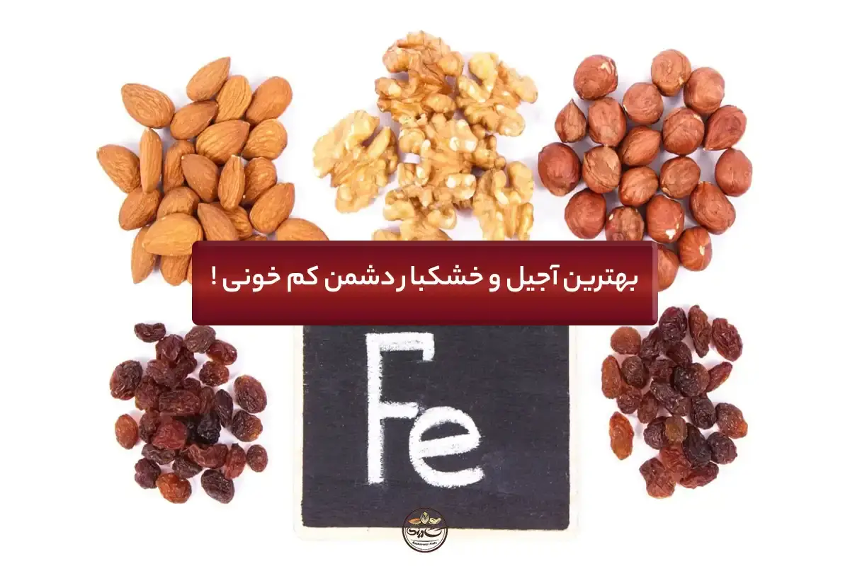 بهترین آجیل و خشکبار دشمن کم خونی