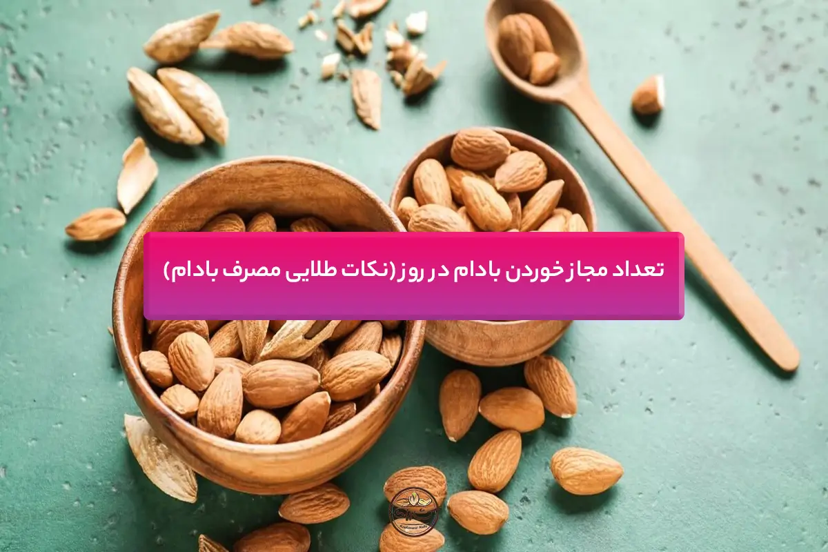 تعداد مجاز خوردن بادام در روز (نکات طلایی مصرف بادام)