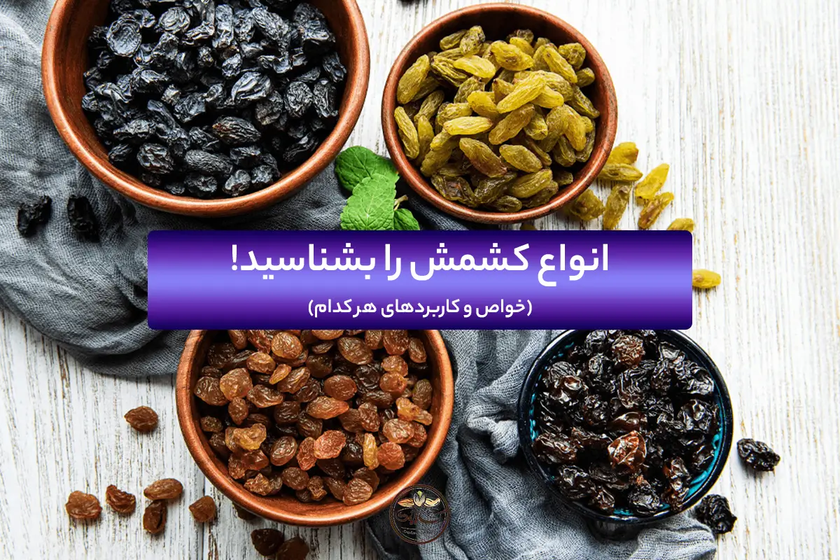 انواع کشمش را بشناسید