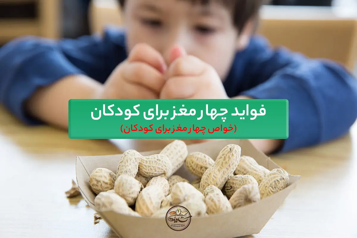 فواید چهار مغز برای کودکان