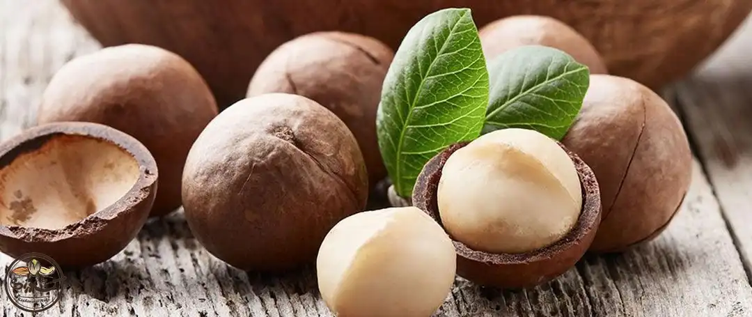 فندق