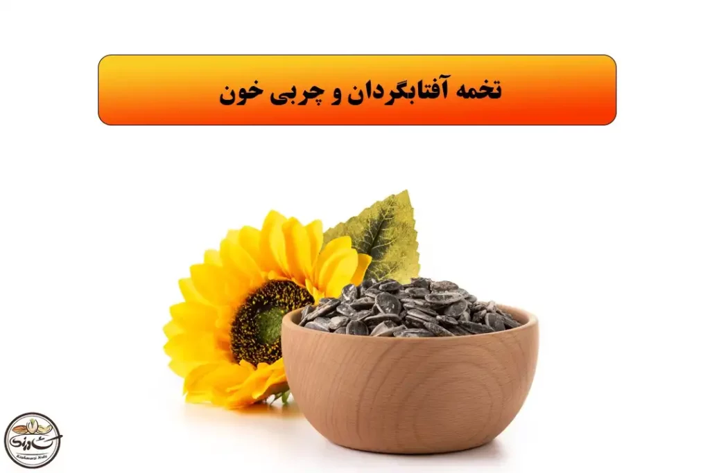 تخمه آفتابگردان و چربی خون