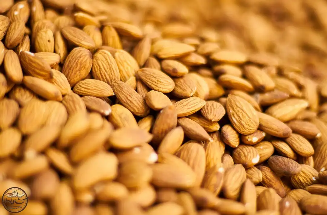 انواع بادام