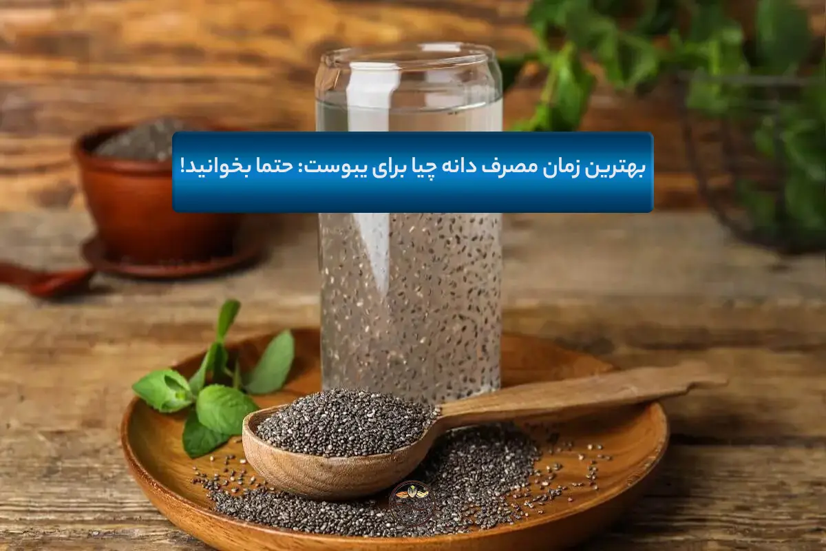بهترین زمان مصرف دانه چیا برای یبوست