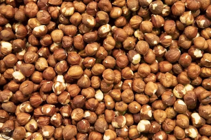 مغز فندق
